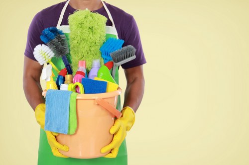 Green Cleaners Richmond Upon Thames professional setup