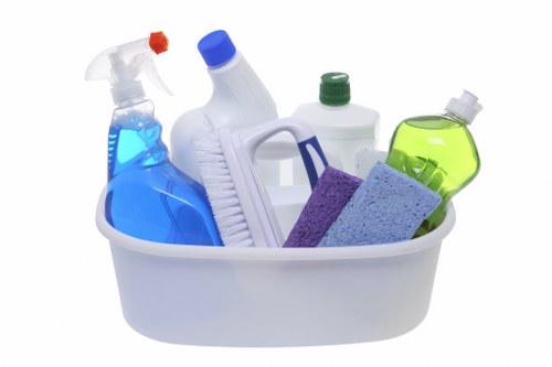 Green Cleaners' eco-friendly cleaning process in action