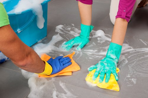 Eco-friendly cleaning solutions for laminate and vinyl floors