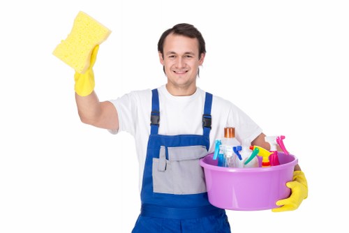 Professional cleaning team at work