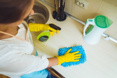 Eco-friendly cleaning products used by Green Cleaners
