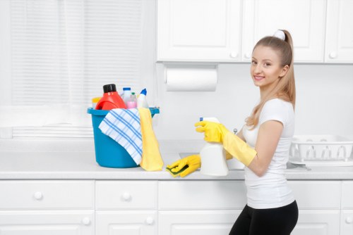 Cleaner using eco-friendly products with safety gear