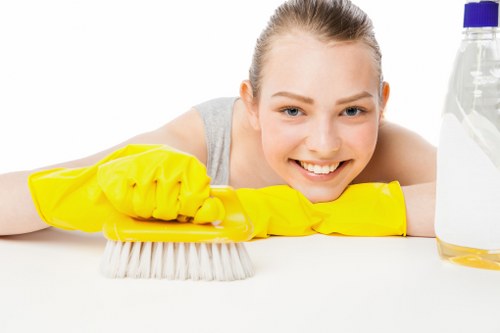 Green Cleaners team providing oven maintenance services
