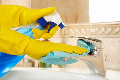 Eco-friendly cleaning products used by Green Cleaners