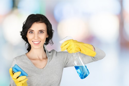 Green Cleaners' team performing deep cleaning