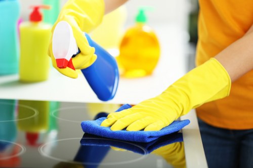 Customer enjoying a spotless clean home