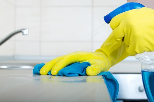 Eco-friendly rug cleaning solutions at Green Cleaners