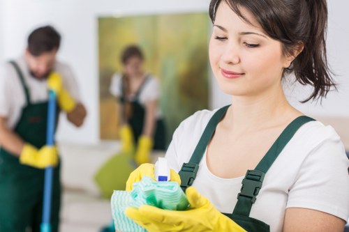 Eco-friendly cleaning supplies used by Green Cleaners