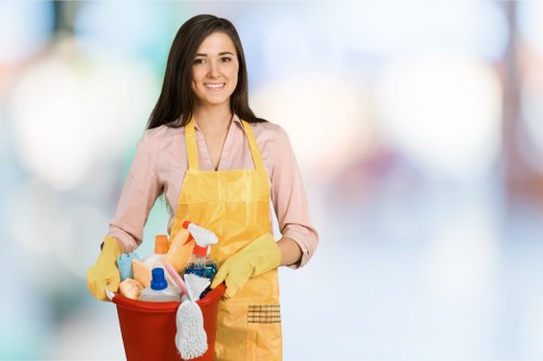 Eco-friendly cleaning solutions being applied to an oven