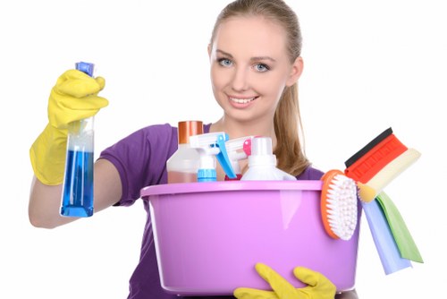 Sustainable cleaning practices in action