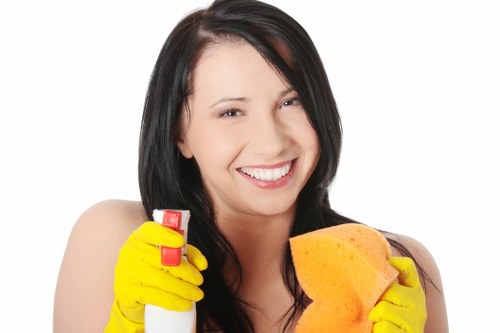 Green Cleaners team at work in a home