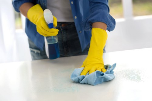 Professional technician cleaning an oven thoroughly