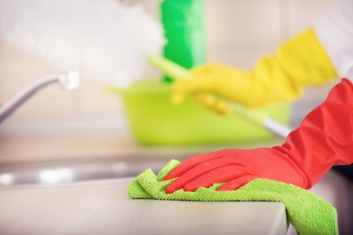 Detailed carpet cleaning process by Green Cleaners